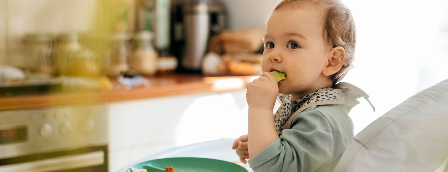 Baby sitting in high chair eating avocado slice.