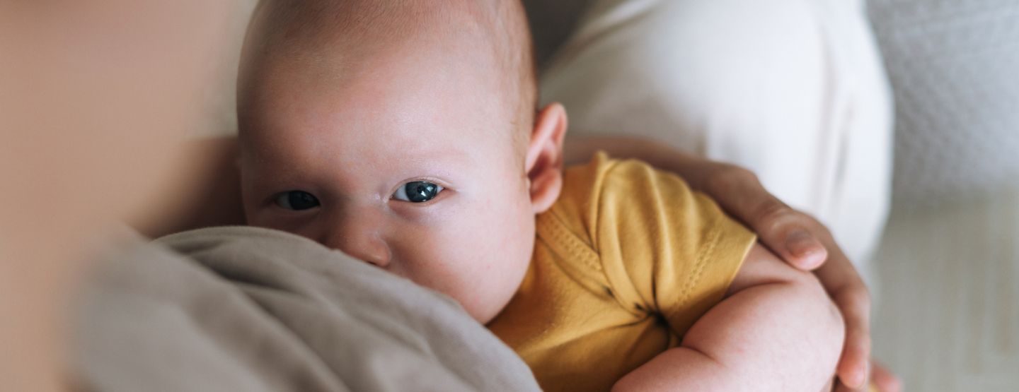 Infant breastfeeding. 