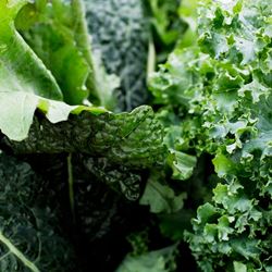 Leafy greens.