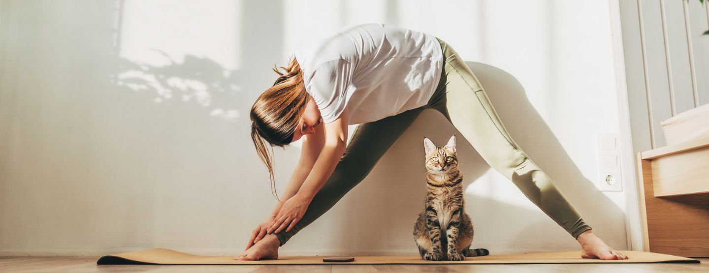 Young woman stretching on yoga mat at home with cat.