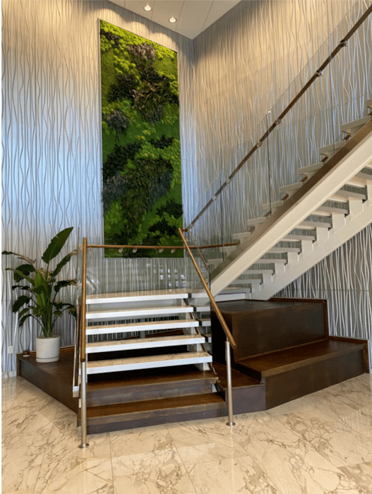 Stairs with moss wall