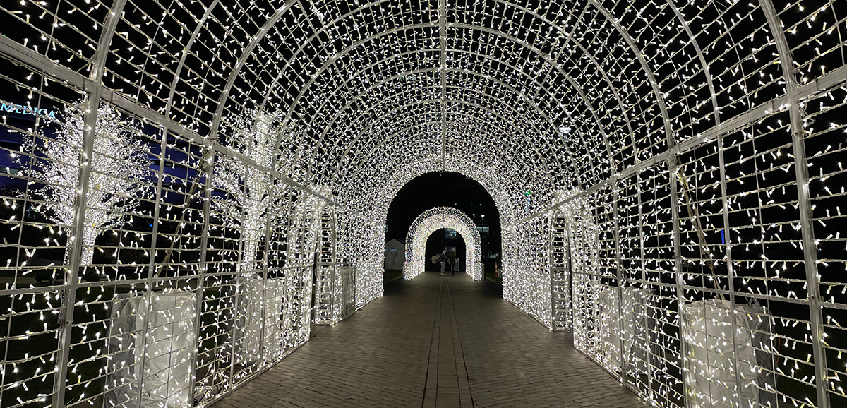 A walkway with an arched covering made of twinkling lights.